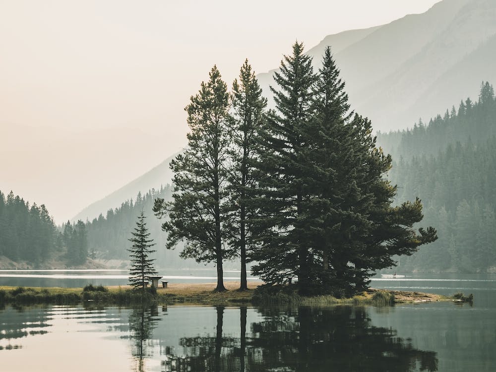 Washington Lake Island