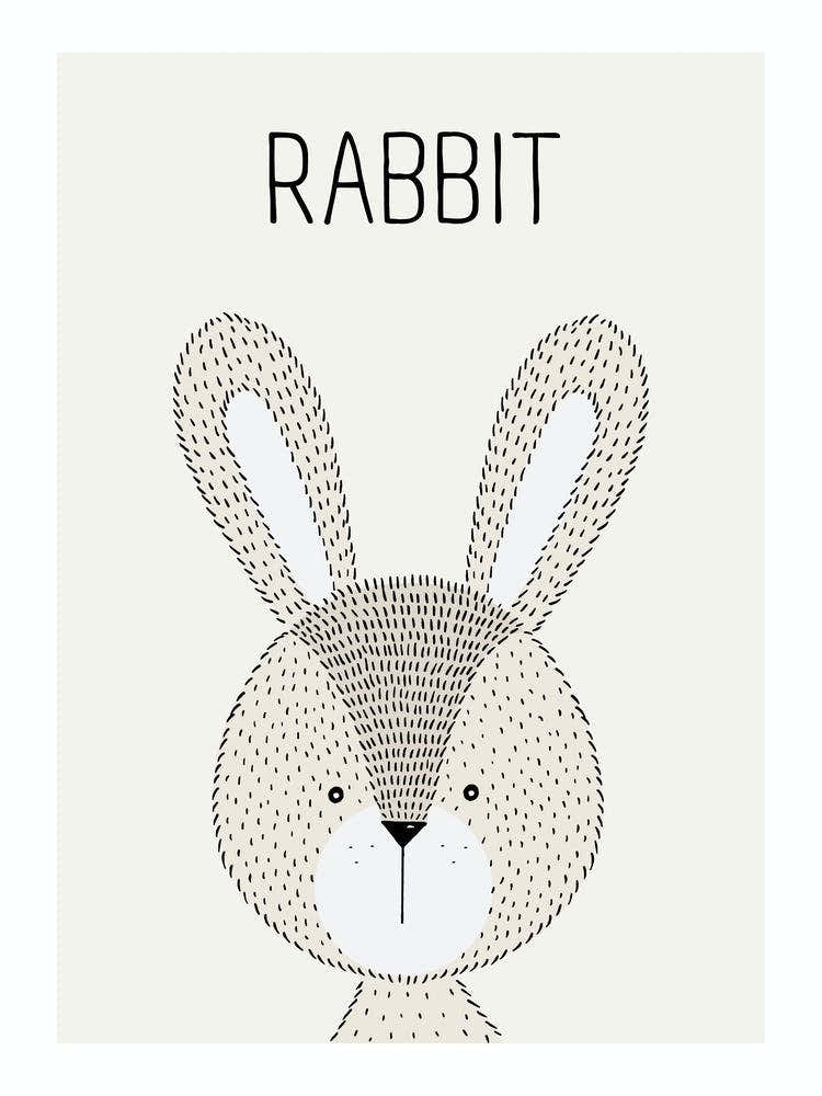 Rabbit