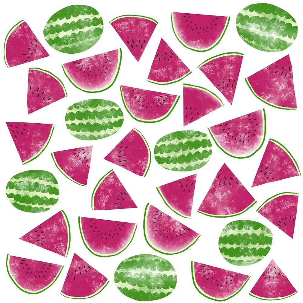 Watermelon Slices