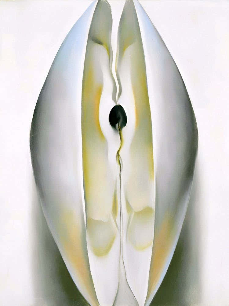 Georgia OKeeffe - Slightly Open Clam Shell 1926 1