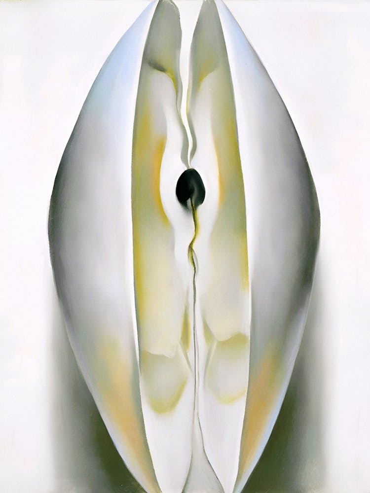 Georgia OKeeffe - Slightly Open Clam Shell 1926 1