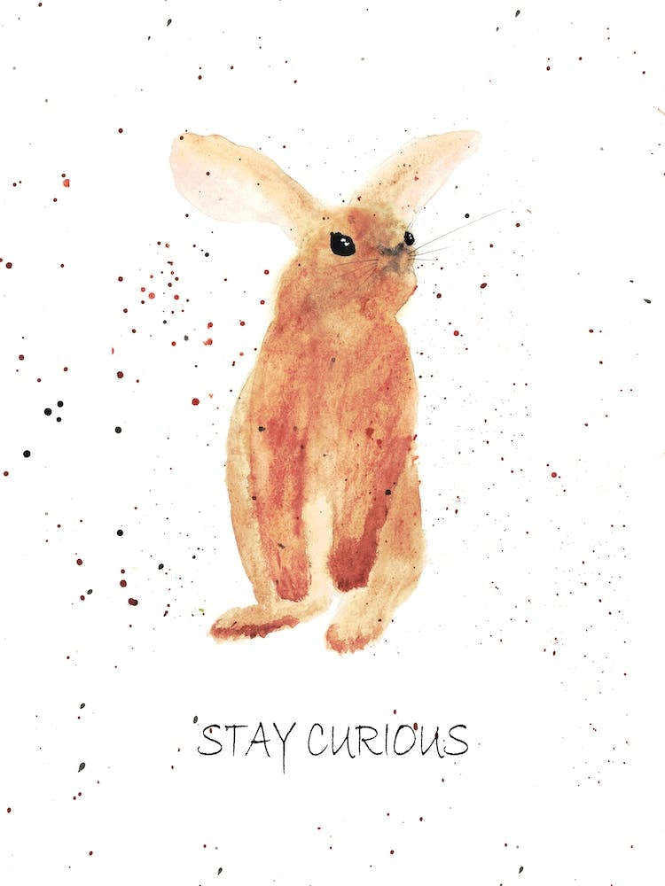 Stay Curious