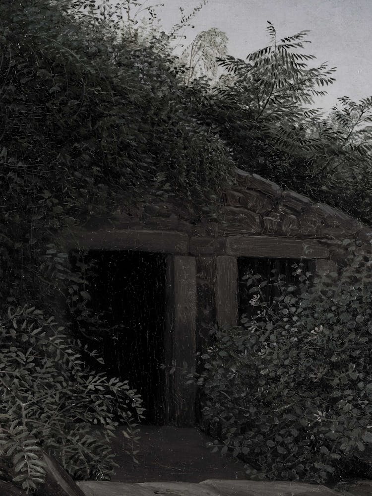 House In The Woods