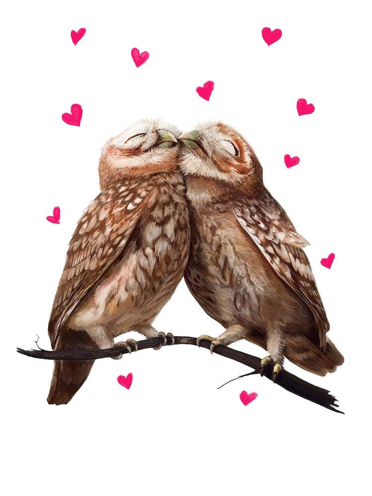 Lovely Owls