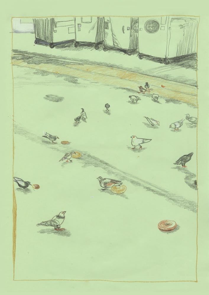 Pigeons In Walgreens' Back Alley