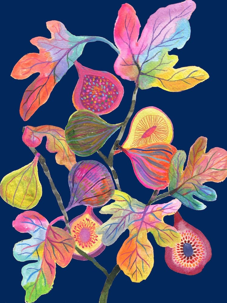 Colorful Figs Blue