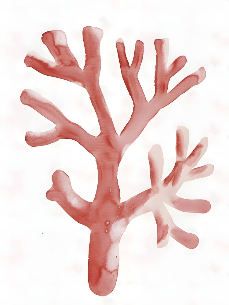 Coral Branch 2