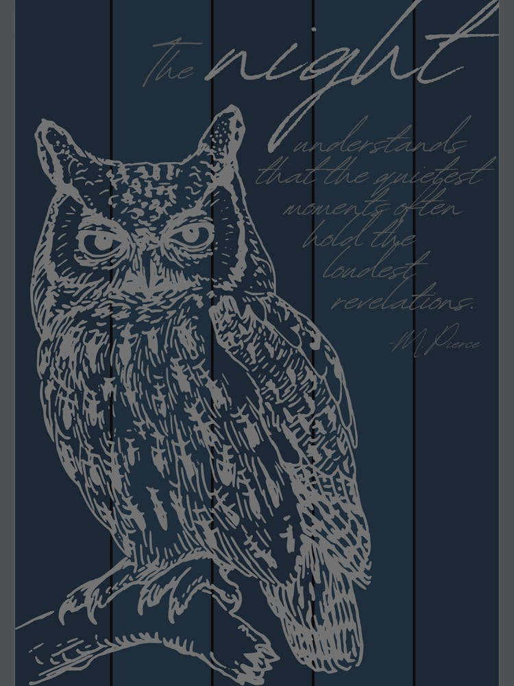 Night Owl Poster
