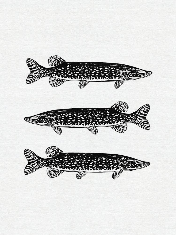 Fish Trio - Linocut Pike Angling