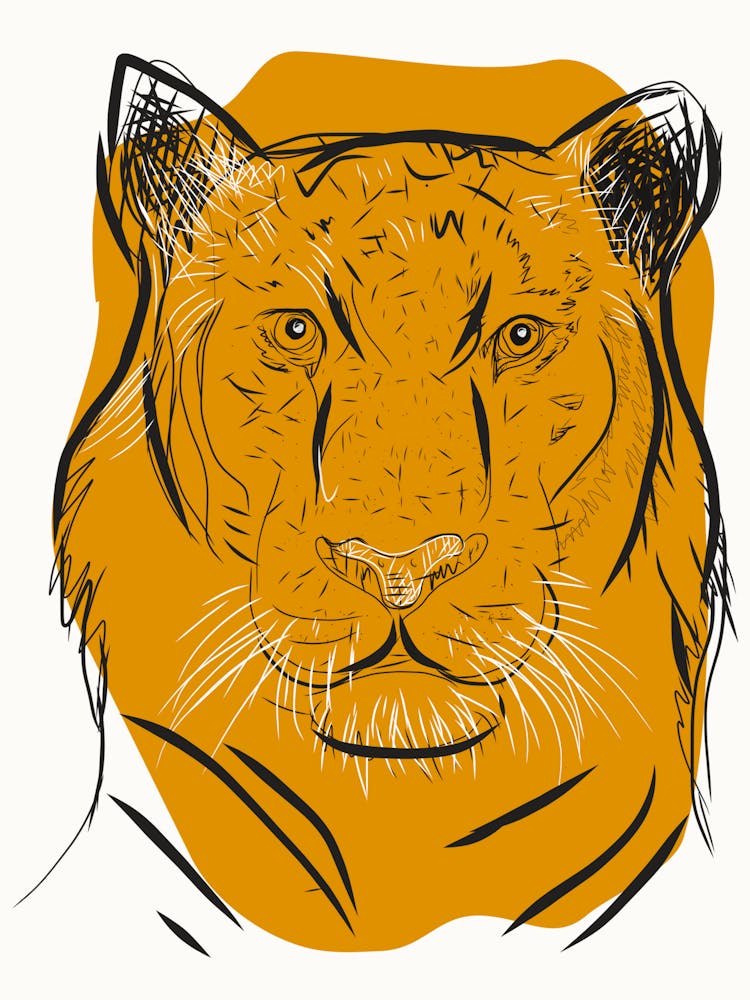 Tiger Head 4