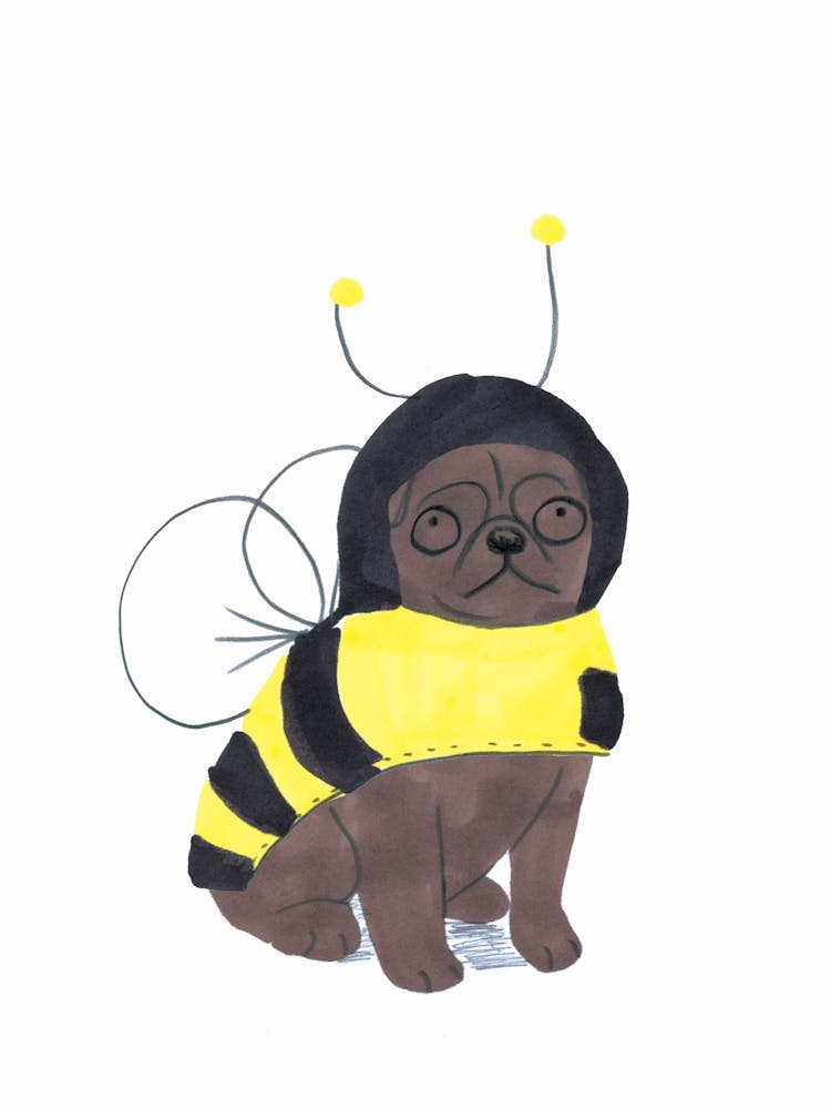 Pug In Bee Costume