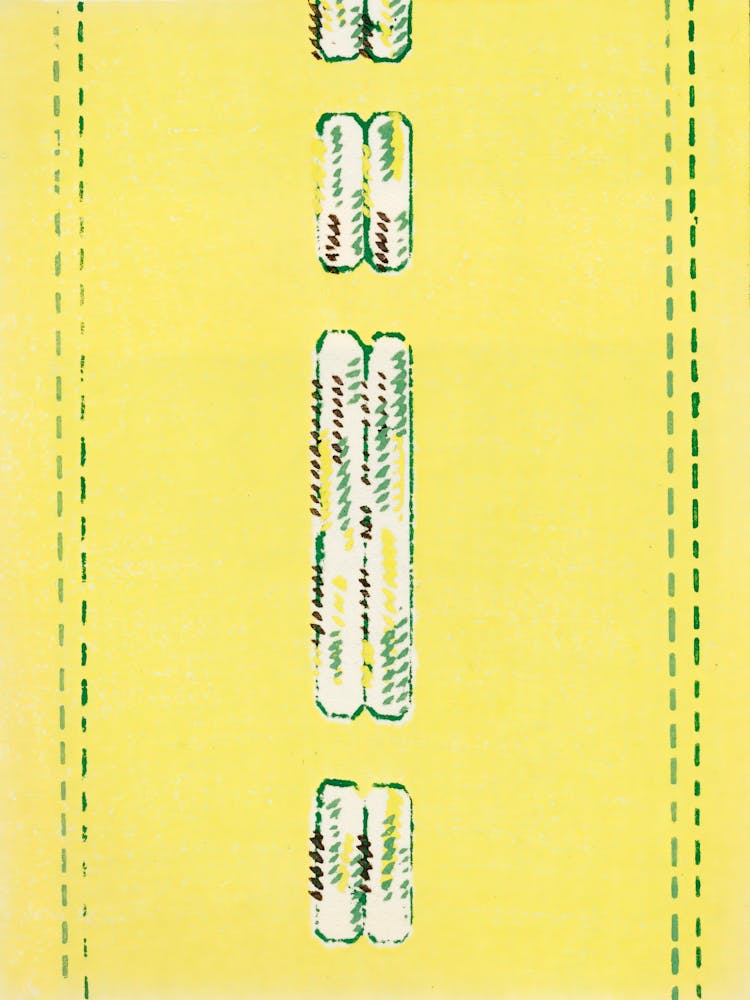 Vintage Ukiyo-e Woodblock Print Of Japanese Textile, Shima Shima, Furuya Korin (220)