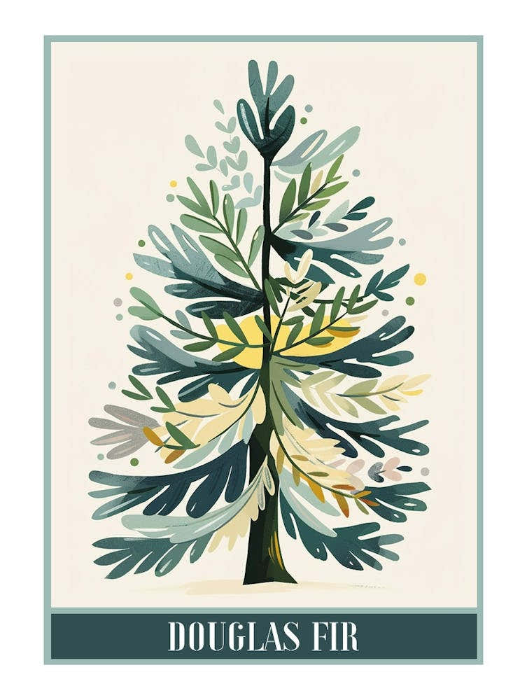 Douglas Fir Tree Illustration Flat 4 Poster