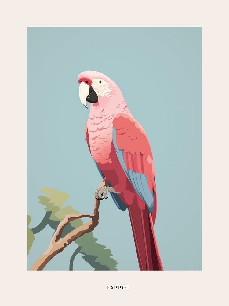 Minimalist Parrot 1 Bird Poster