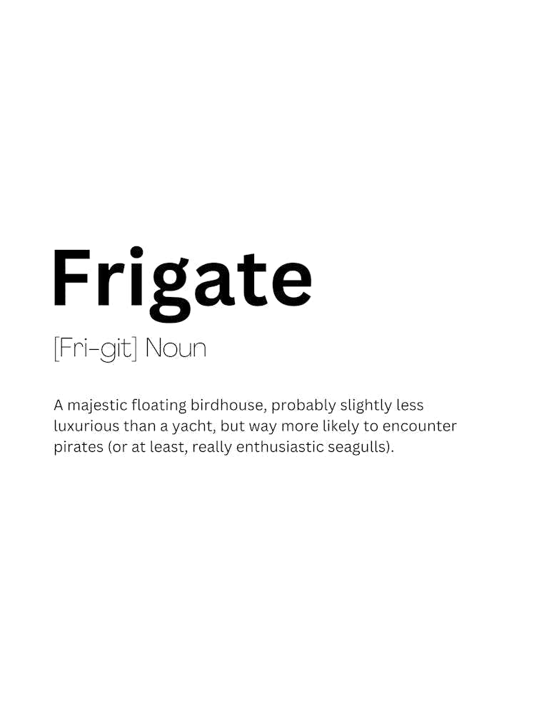 Frigate Definition Meaning