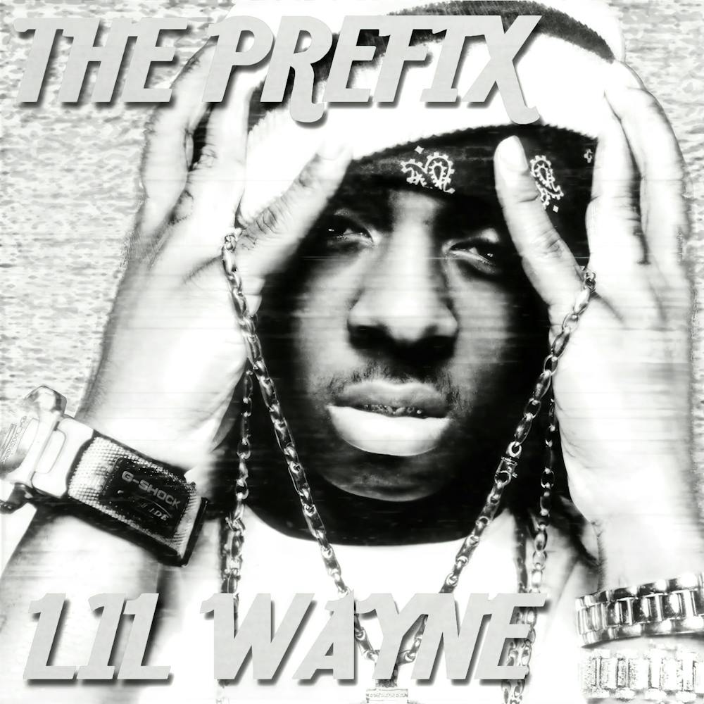 Lil Wayne (28)