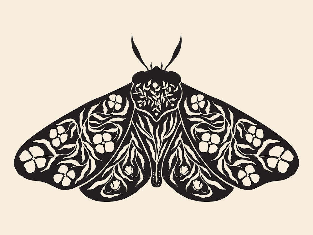Folk Art Moth 04 - Ink