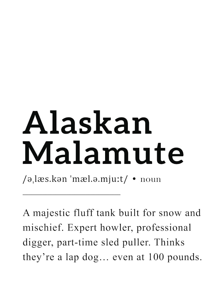 Alaskan Malamute Definition Poster - Dictionary