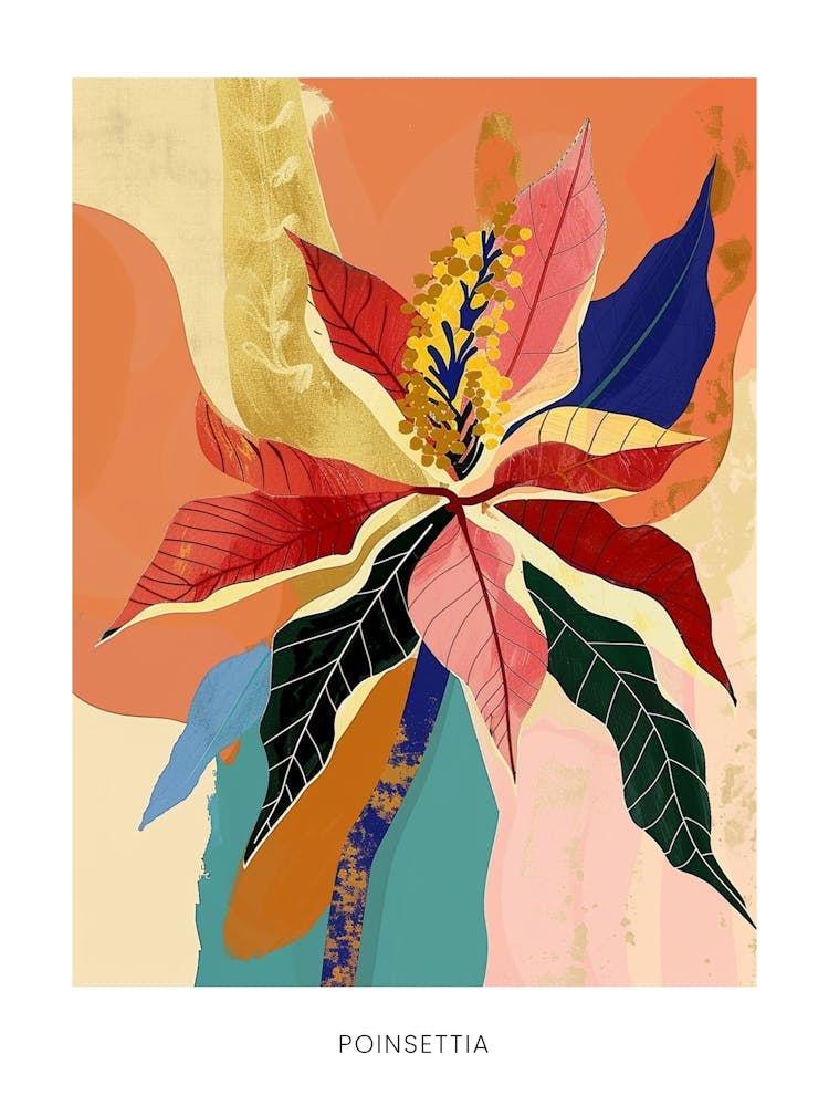 Colourful Flower Illustration Poster Poinsettia 3