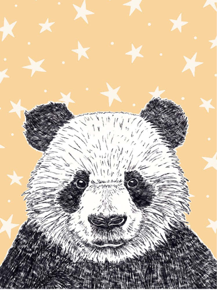 Panda Bear With Stars