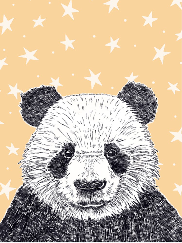 Panda Bear With Stars