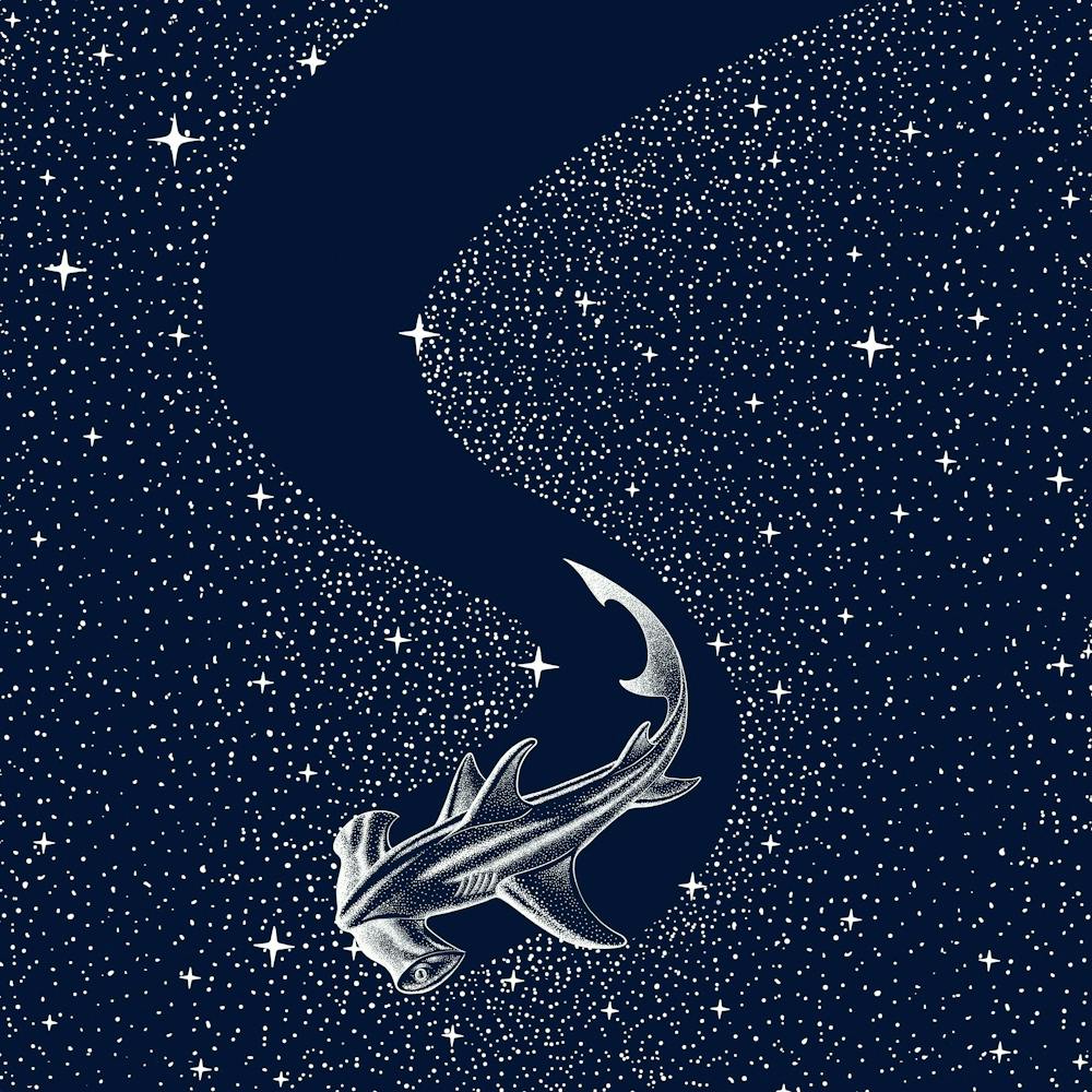 Starry Hammerhead SQUARE