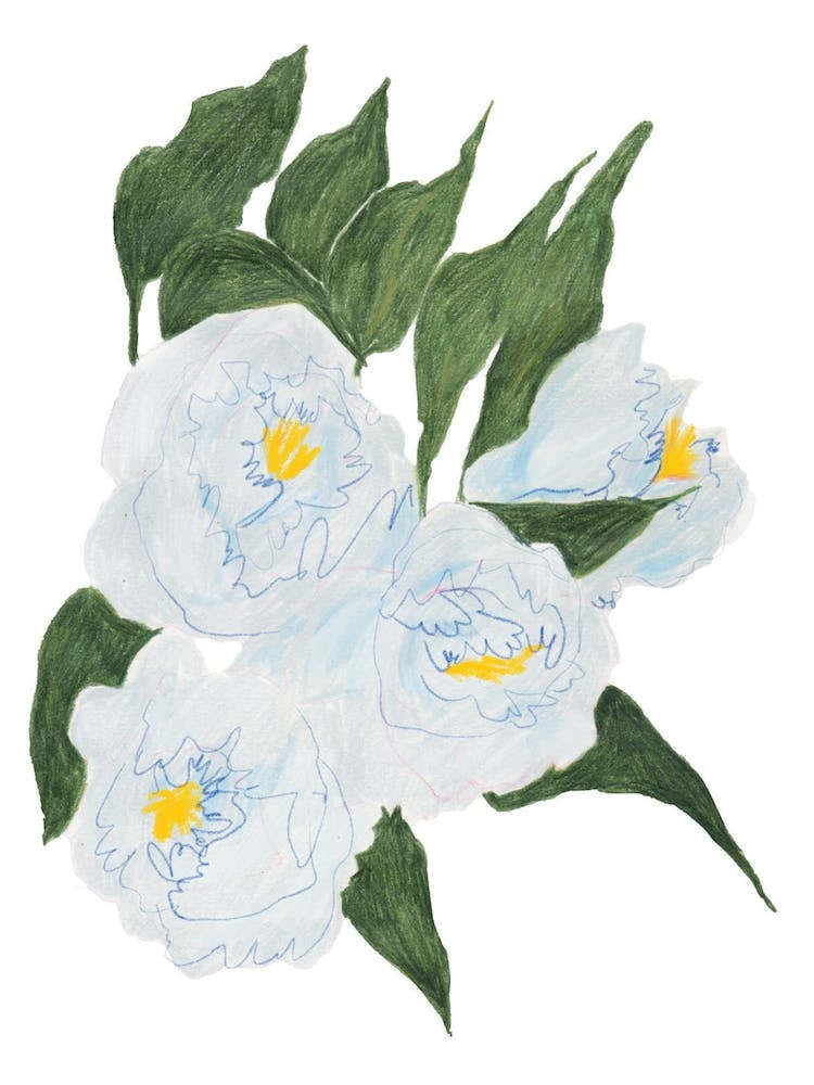 I Still See You In The Rain