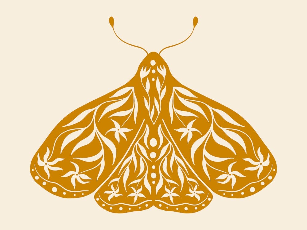 Folk Art Moth 01 - Mango