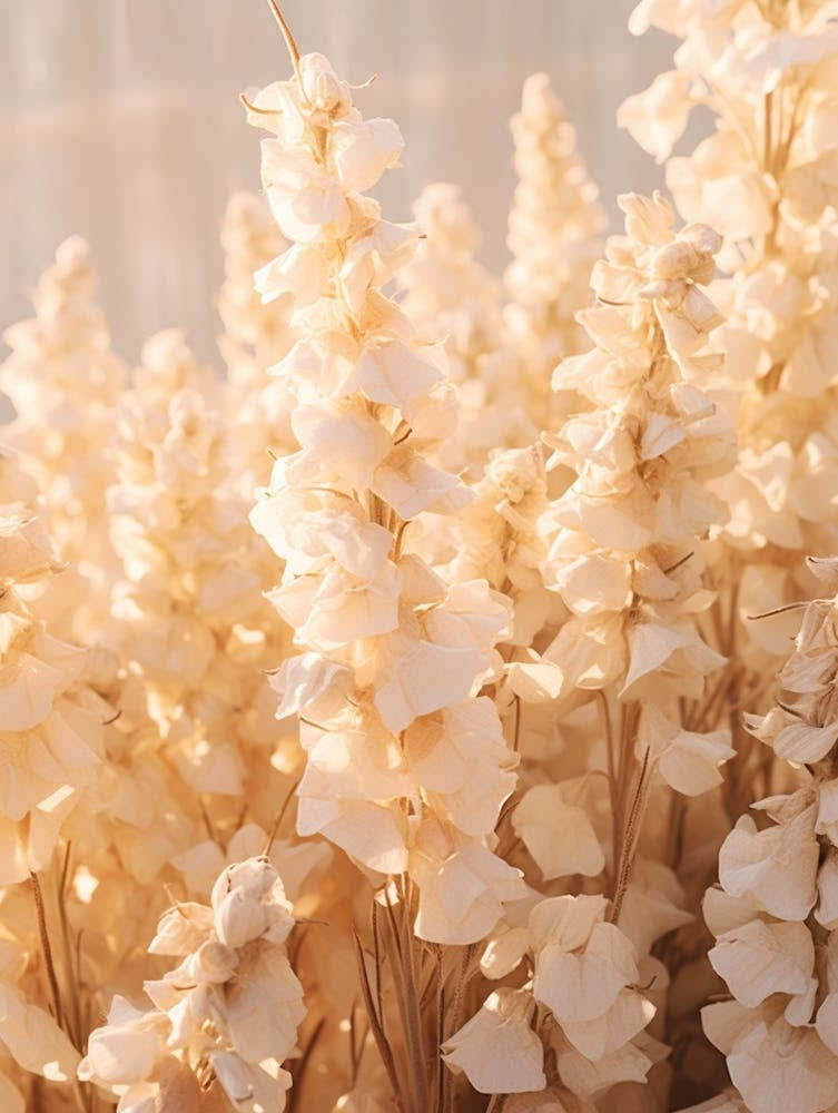 Boho Dried Flowers Snapdragon 2