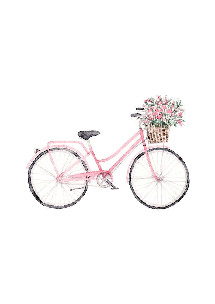 Pretty Bicycle