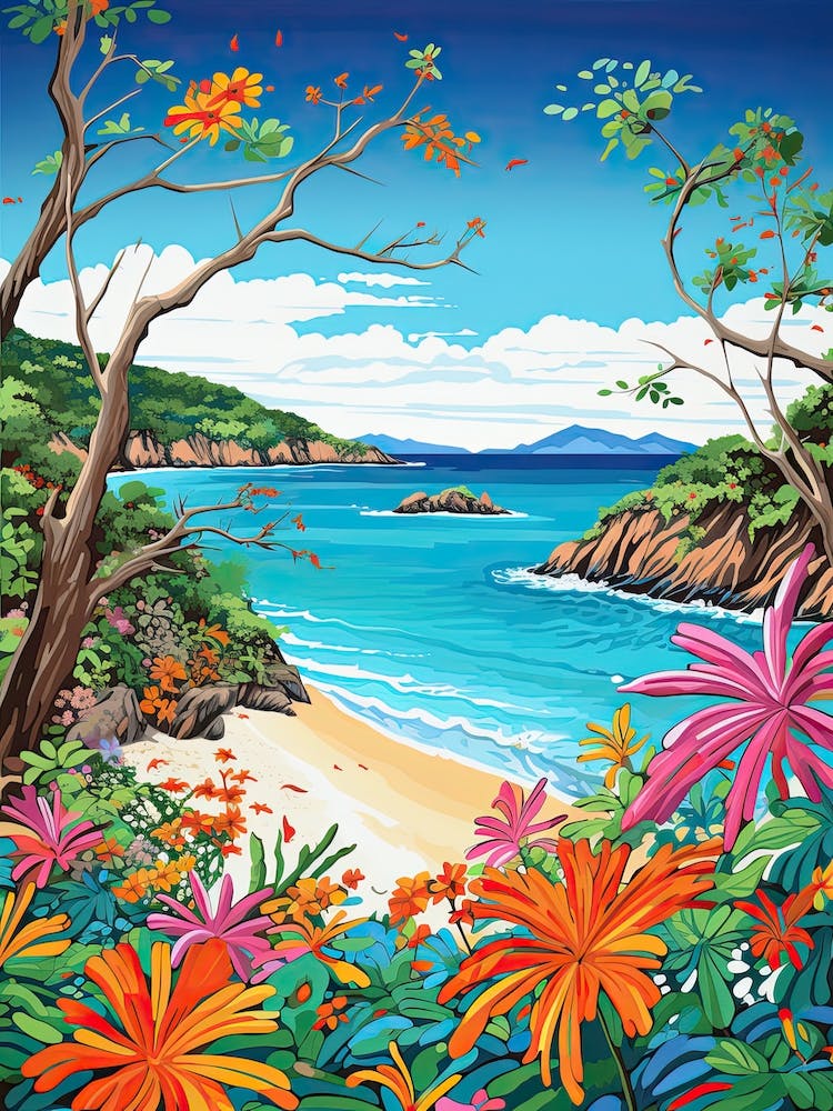 Trunk Bay Beach, Us Virgin Islands, Matisse And Rousseau Style 2