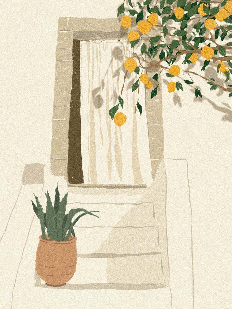 Lemon Home