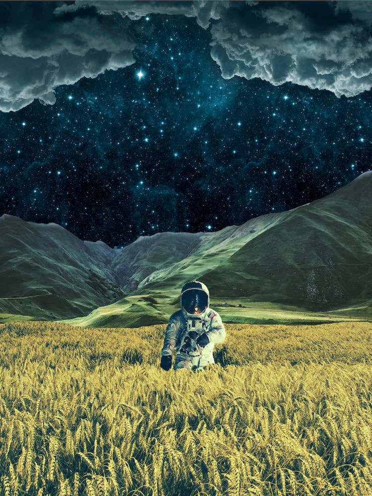 Astronaut In A Wheat Field