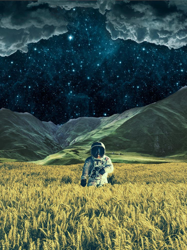 Astronaut In A Wheat Field