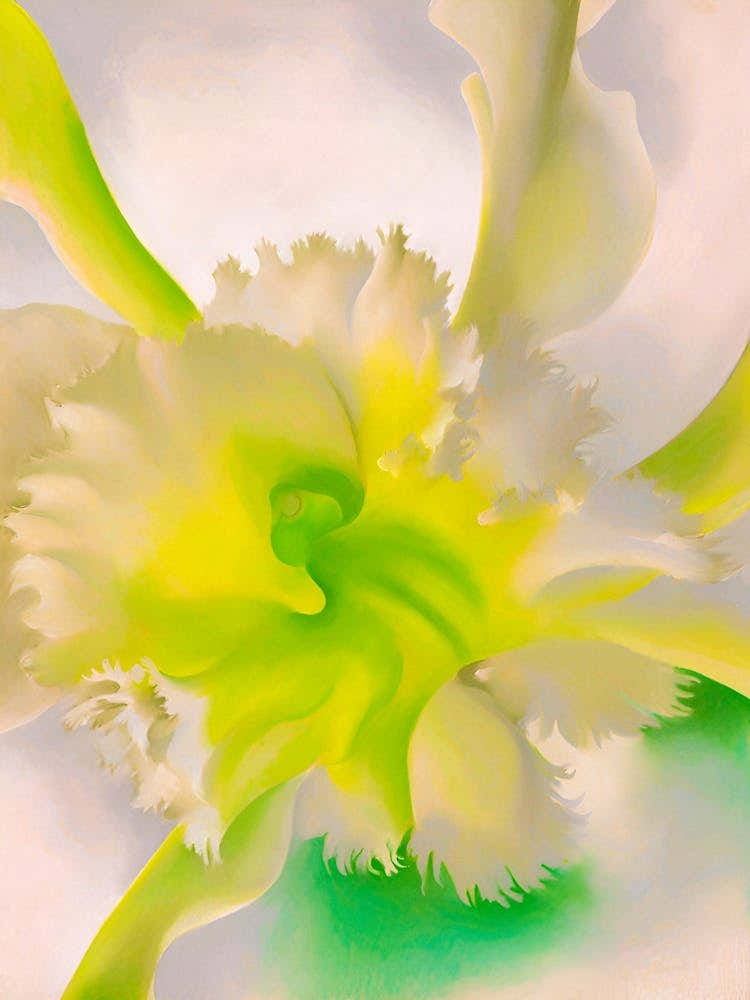 Georgia OKeeffe - An Orchid. 1941 1