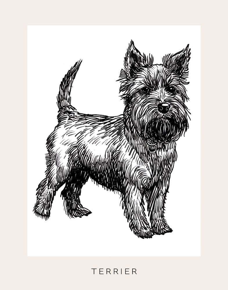 Cute Terrier Dog Line Art 4 Poster