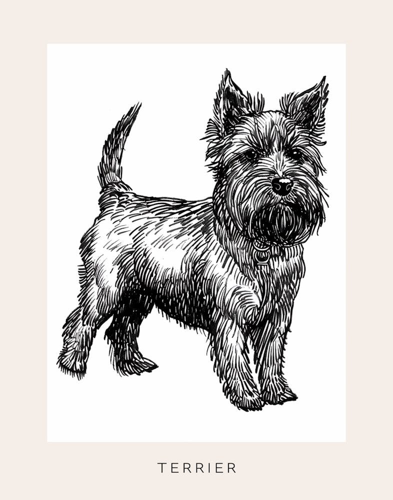 Cute Terrier Dog Line Art 4 Poster