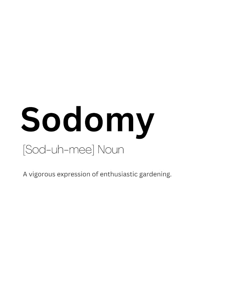 Sodomy Definition Meaning