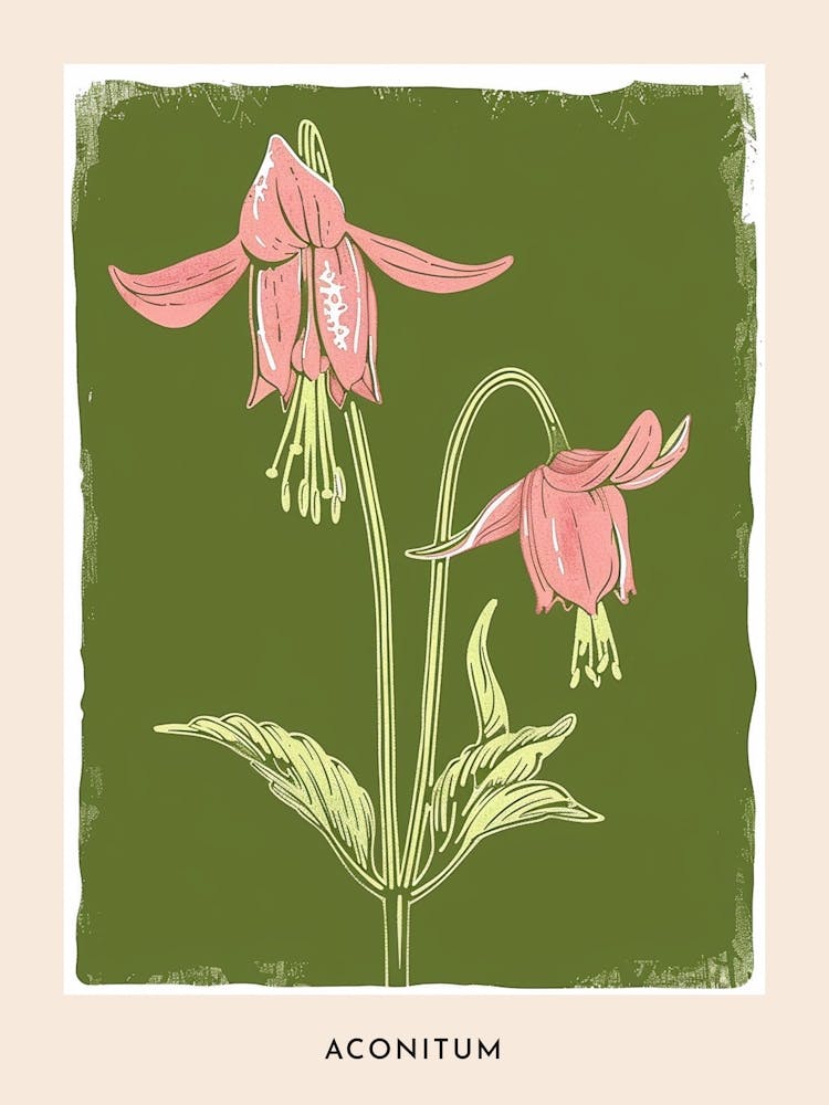 Pink & Green Aconitum 1 Flower Poster