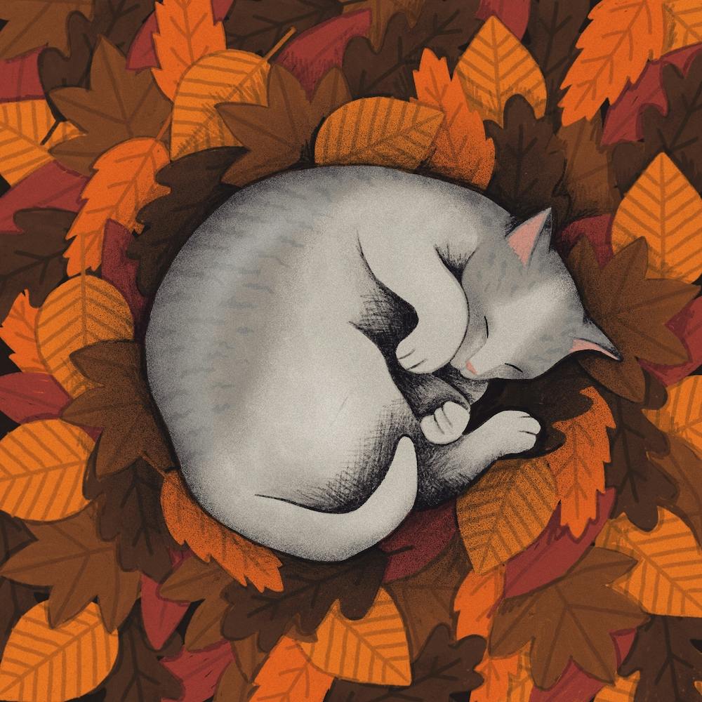 Afbadcbb 58a5 4e80 892e 537abe15e597