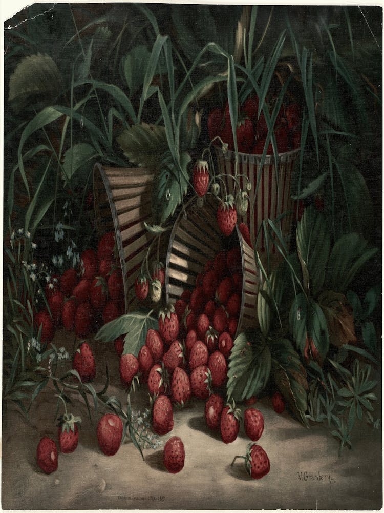 Strawberries In Baskets