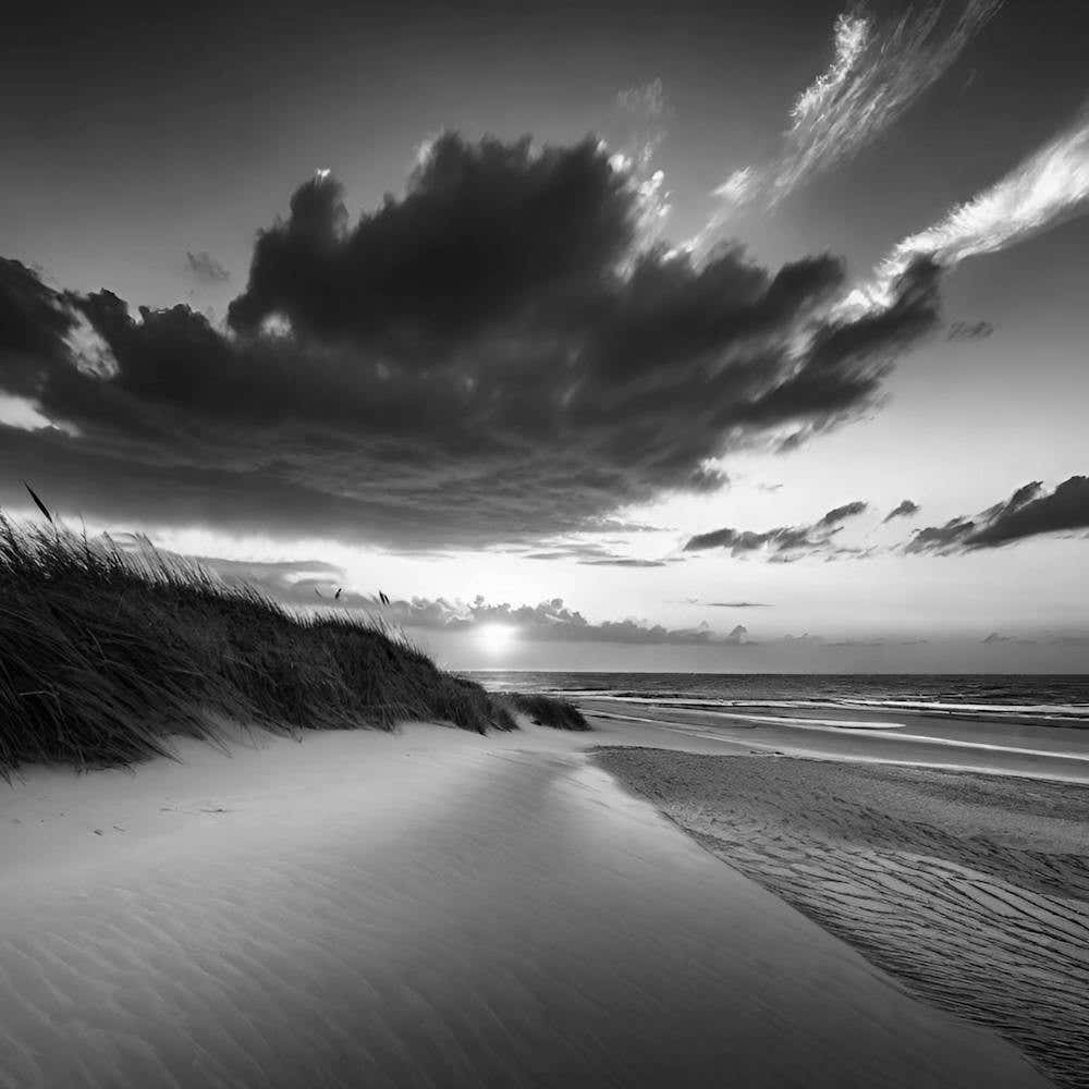 Sunset At The Beach 653