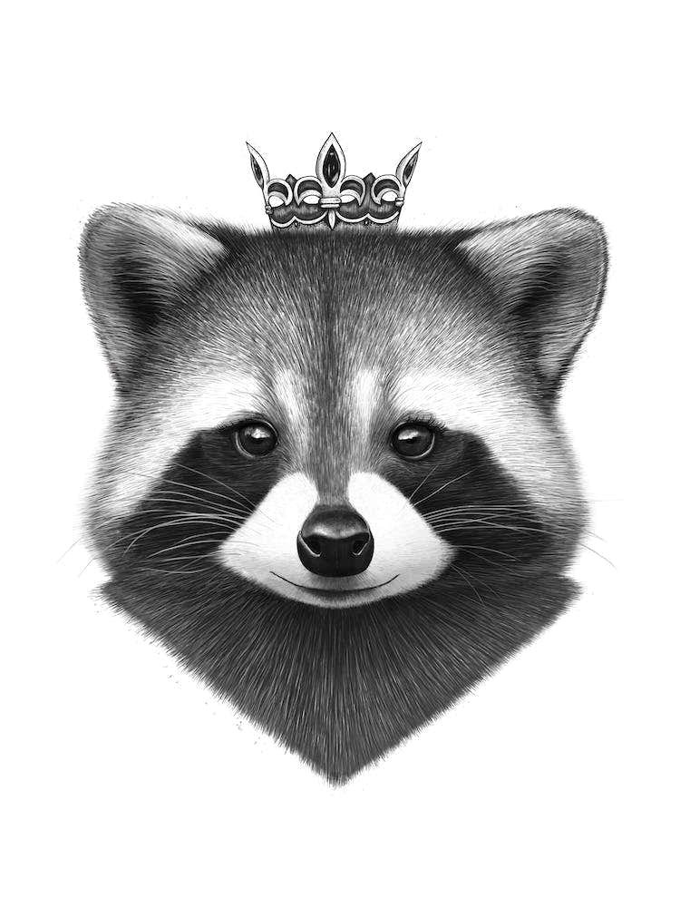 Queen Raccoon
