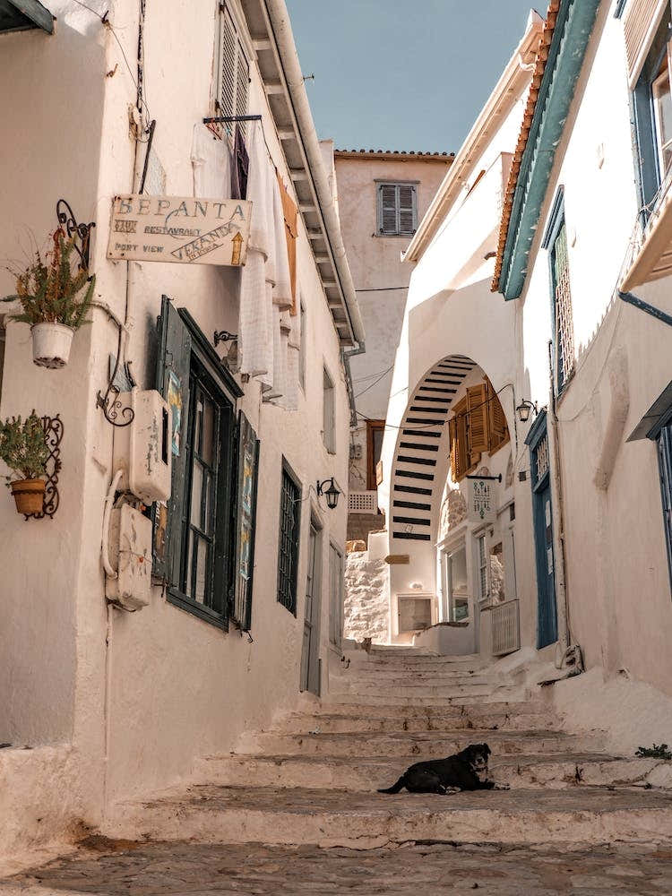 Greek Alley With Dog Hydra Greece