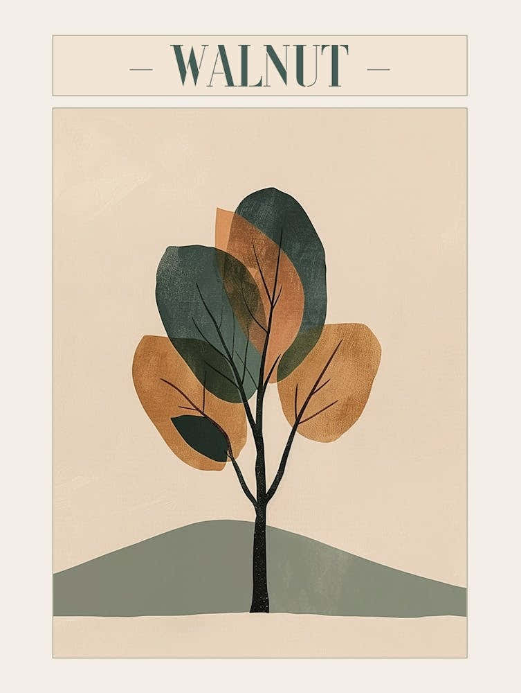 Walnut Tree Minimal Japandi Illustration 2 Poster