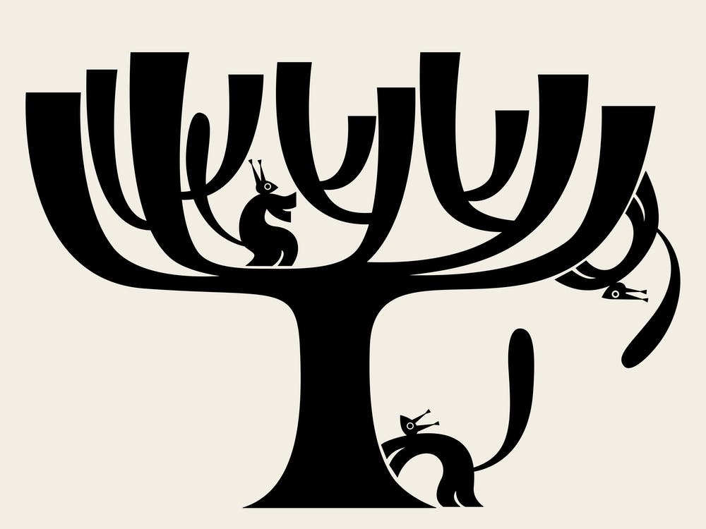 Plane Tree And Squirrels