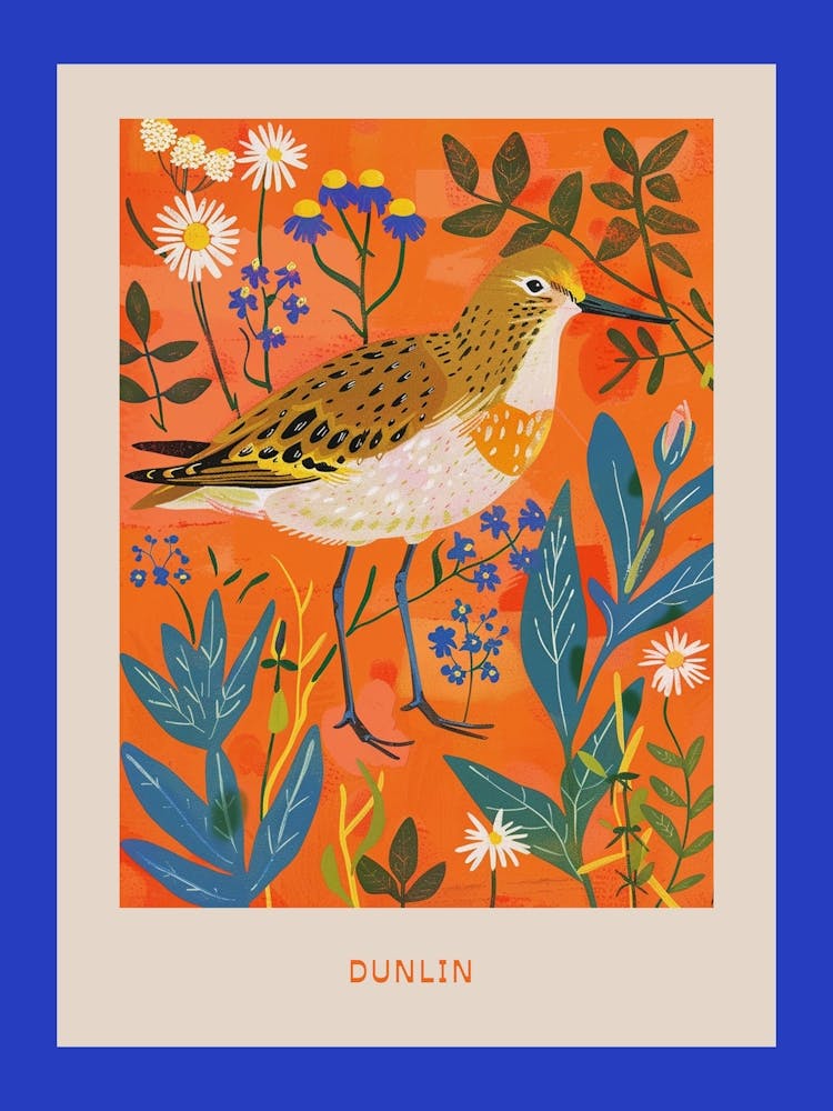 Spring Birds Poster Dunlin 2