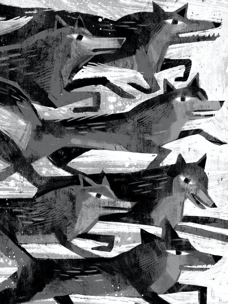 Wolves Fy