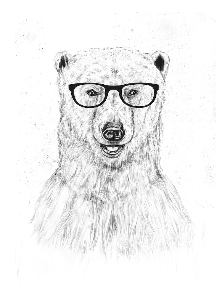 Geek Bear