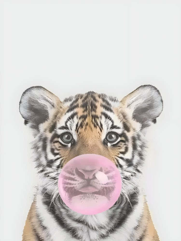 Tiger Chewing Gum Canvas Print
